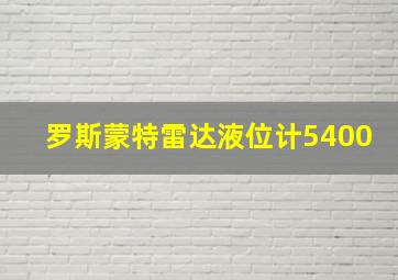 罗斯蒙特雷达液位计5400