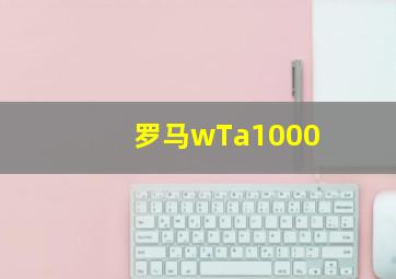 罗马wTa1000