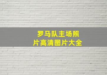 罗马队主场照片高清图片大全