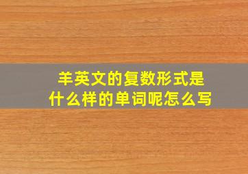 羊英文的复数形式是什么样的单词呢怎么写