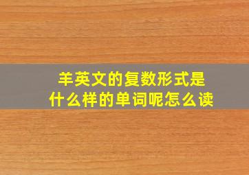 羊英文的复数形式是什么样的单词呢怎么读