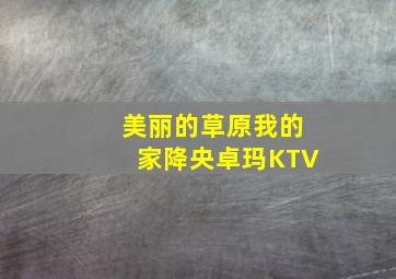 美丽的草原我的家降央卓玛KTV