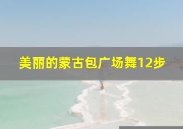 美丽的蒙古包广场舞12步