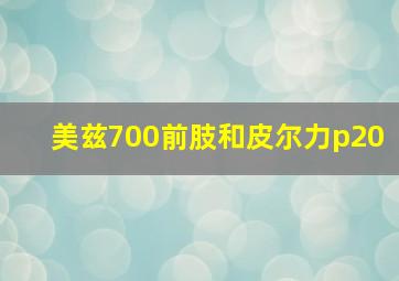 美兹700前肢和皮尔力p20