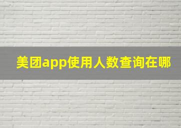 美团app使用人数查询在哪