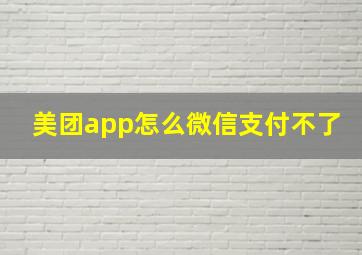 美团app怎么微信支付不了