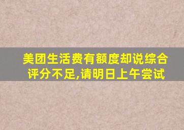 美团生活费有额度却说综合评分不足,请明日上午尝试