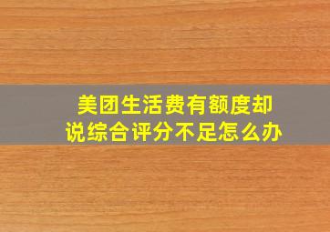 美团生活费有额度却说综合评分不足怎么办