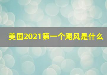 美国2021第一个飓风是什么