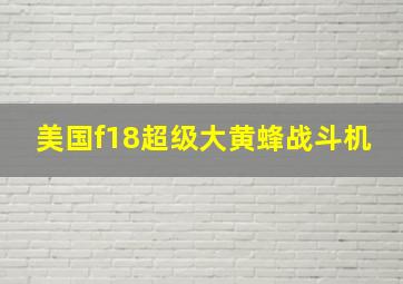 美国f18超级大黄蜂战斗机