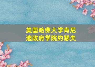 美国哈佛大学肯尼迪政府学院约瑟夫