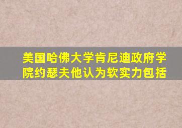 美国哈佛大学肯尼迪政府学院约瑟夫他认为软实力包括