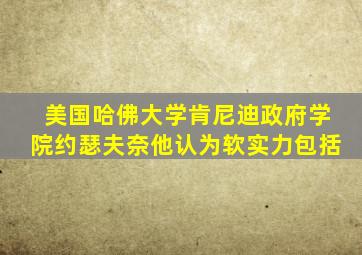 美国哈佛大学肯尼迪政府学院约瑟夫奈他认为软实力包括