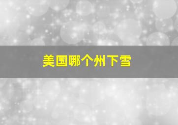 美国哪个州下雪