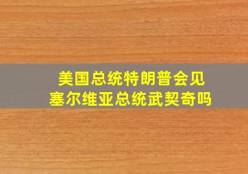 美国总统特朗普会见塞尔维亚总统武契奇吗