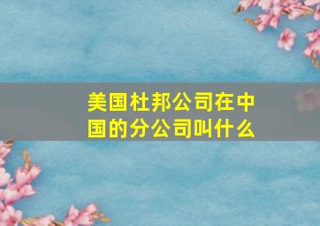 美国杜邦公司在中国的分公司叫什么