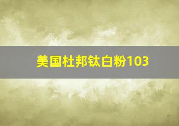 美国杜邦钛白粉103