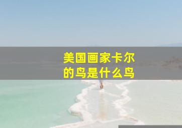 美国画家卡尔的鸟是什么鸟