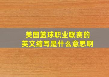 美国篮球职业联赛的英文缩写是什么意思啊