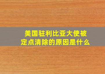 美国驻利比亚大使被定点清除的原因是什么