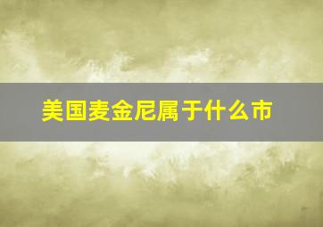 美国麦金尼属于什么市