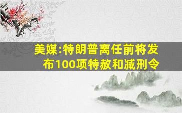 美媒:特朗普离任前将发布100项特赦和减刑令