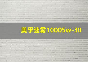 美孚速霸10005w-30