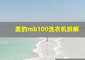 美的mb100洗衣机拆解