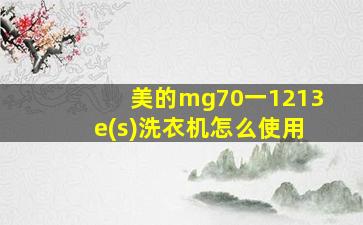 美的mg70一1213e(s)洗衣机怎么使用