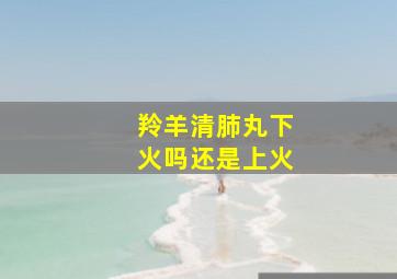 羚羊清肺丸下火吗还是上火