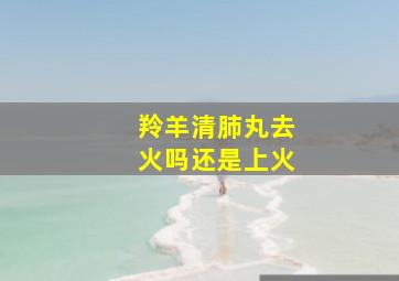 羚羊清肺丸去火吗还是上火