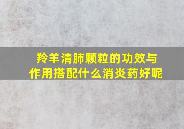 羚羊清肺颗粒的功效与作用搭配什么消炎药好呢