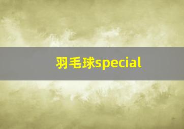 羽毛球special