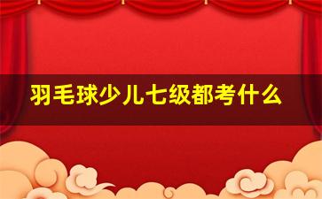 羽毛球少儿七级都考什么