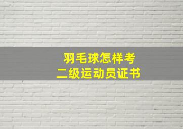 羽毛球怎样考二级运动员证书