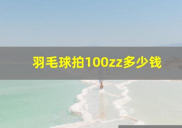 羽毛球拍100zz多少钱