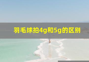 羽毛球拍4g和5g的区别