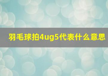 羽毛球拍4ug5代表什么意思