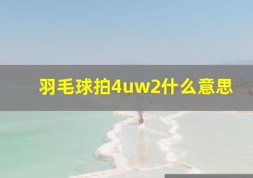 羽毛球拍4uw2什么意思