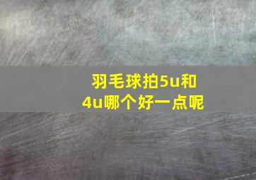 羽毛球拍5u和4u哪个好一点呢