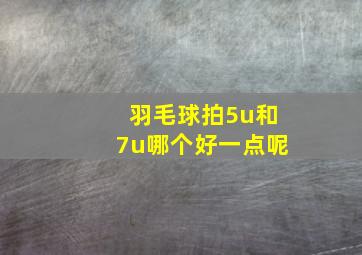 羽毛球拍5u和7u哪个好一点呢