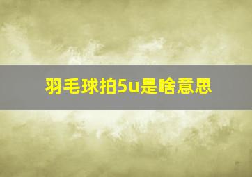 羽毛球拍5u是啥意思