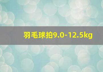 羽毛球拍9.0-12.5kg