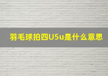 羽毛球拍四U5u是什么意思