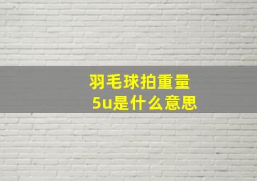 羽毛球拍重量5u是什么意思