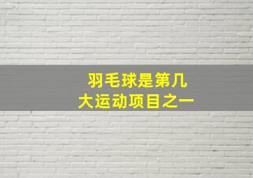 羽毛球是第几大运动项目之一