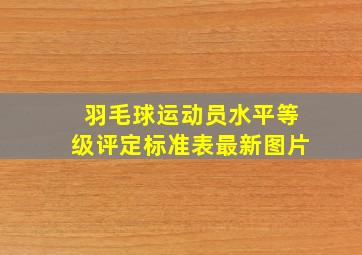 羽毛球运动员水平等级评定标准表最新图片