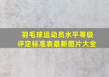 羽毛球运动员水平等级评定标准表最新图片大全