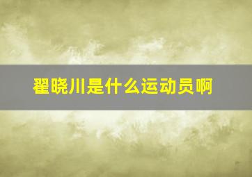 翟晓川是什么运动员啊