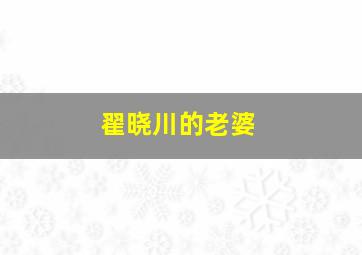 翟晓川的老婆